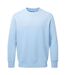 Anthem Unisex Adult Sweatshirt (Light Blue)