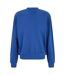Sweat Homme Bleu Roi Urban Classics-1