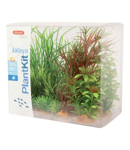 Kit de 6 plantes Plantkit Jalaya
