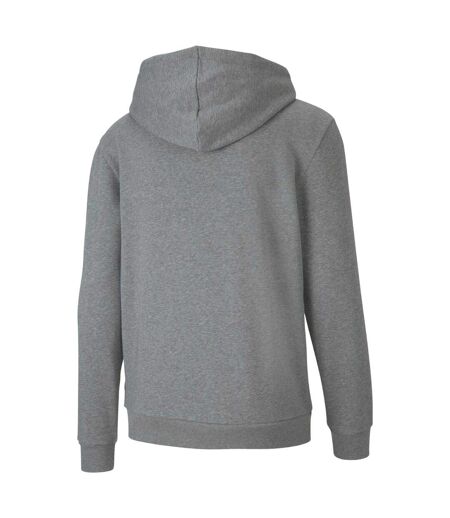 Veste À Capuche Teamgoal Casuals Homme Gris Puma