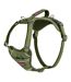 Anatomy dog harness l green Halti-1