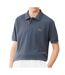 Polo gris bleuté homme lacoste l1212-1