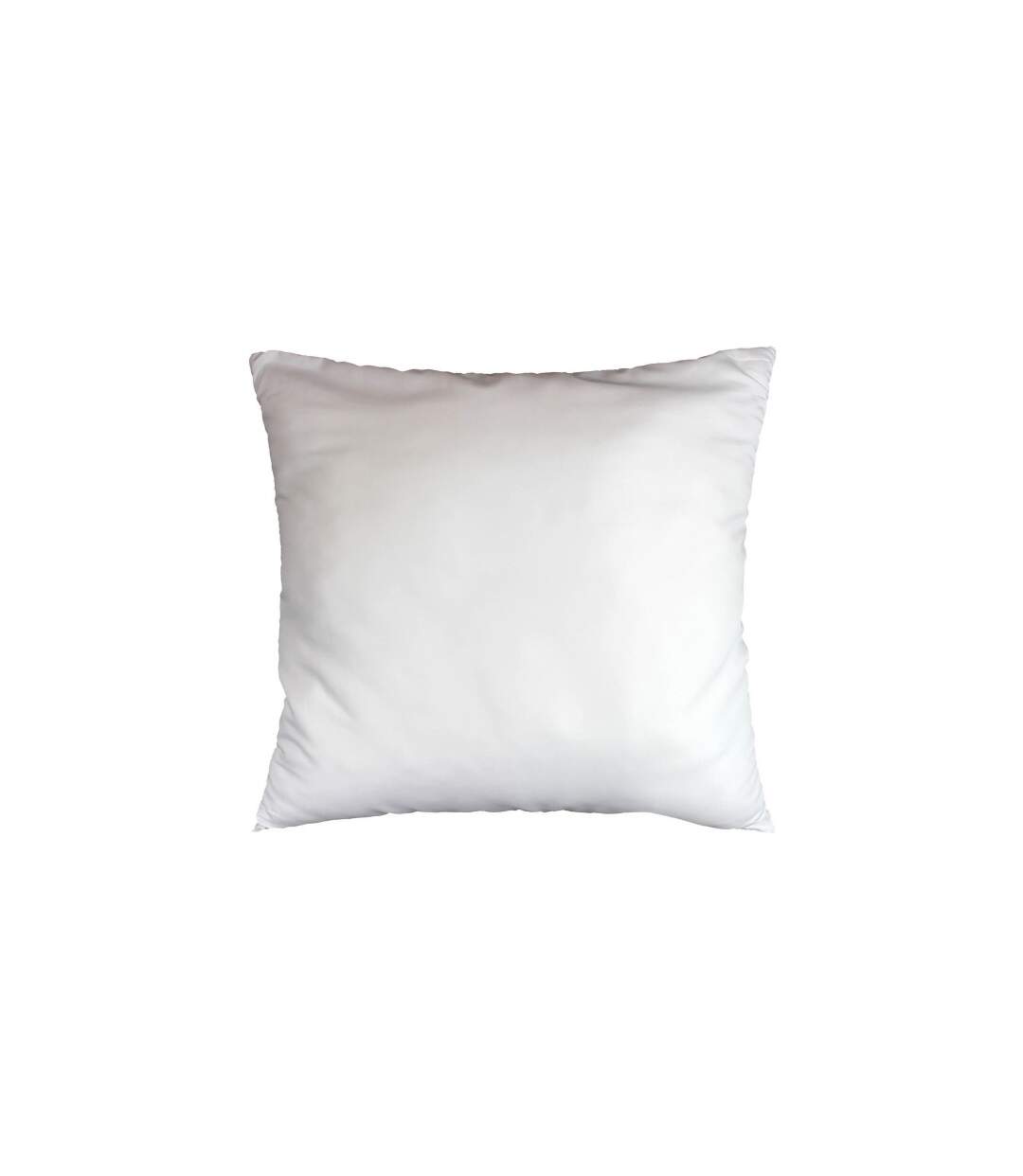 Oreiller en Polyester Anti Acarien 60x60cm Blanc