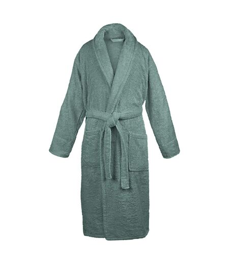 ARTG Unisex Adults Organic Bathrobe With Hood (Green)