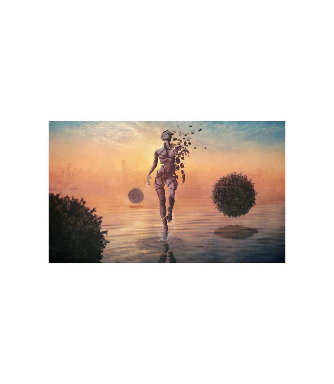Papier Peint Marcher sur l'Eau 270x450cm-2