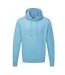 Sweatshirt À Capuche  Pour Homme Bleu Ciel Russell-2