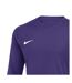 Maillot De Gardien De But Manches Longues Park Homme Violet Nike-3