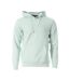 Sweat vert clair homme teddy smith nark hoody - 3xl-1