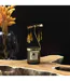 Bougie Parfumée Carrousel 8cm Bois & Gingembre-4