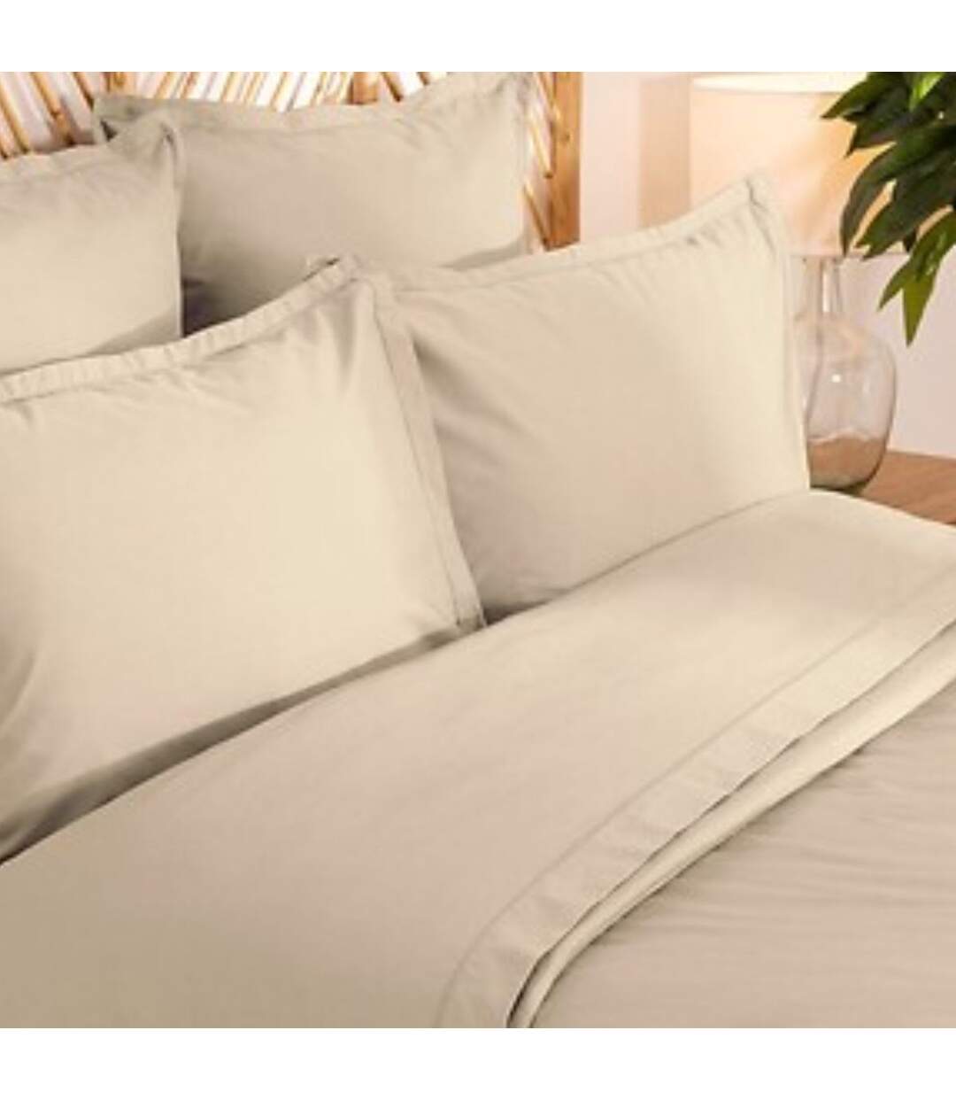 Parure de Lit 3 Pièces Percale 260x240cm Beige Lin-4