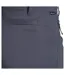 Womens/ladies Kiwi Pro Iii Trousers Graphite Craghoppers-4