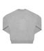 Unisex adult influence crew neck sweatshirt sport grey B&C-2