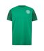 Mens Celtic Branded Sleeve T-shirt Green Source Lab-1