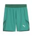 Mens Teamfinal Football Shorts Sport Green White Puma-1