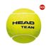 Balles De Tennis Taille Unique Jaune Head-1