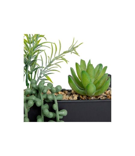 Plante Artificielle à Suspendre Imy 41cm Noir