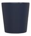 Ross Ceramic 280ml Mug (Navy) (One Size) - UTPF4184