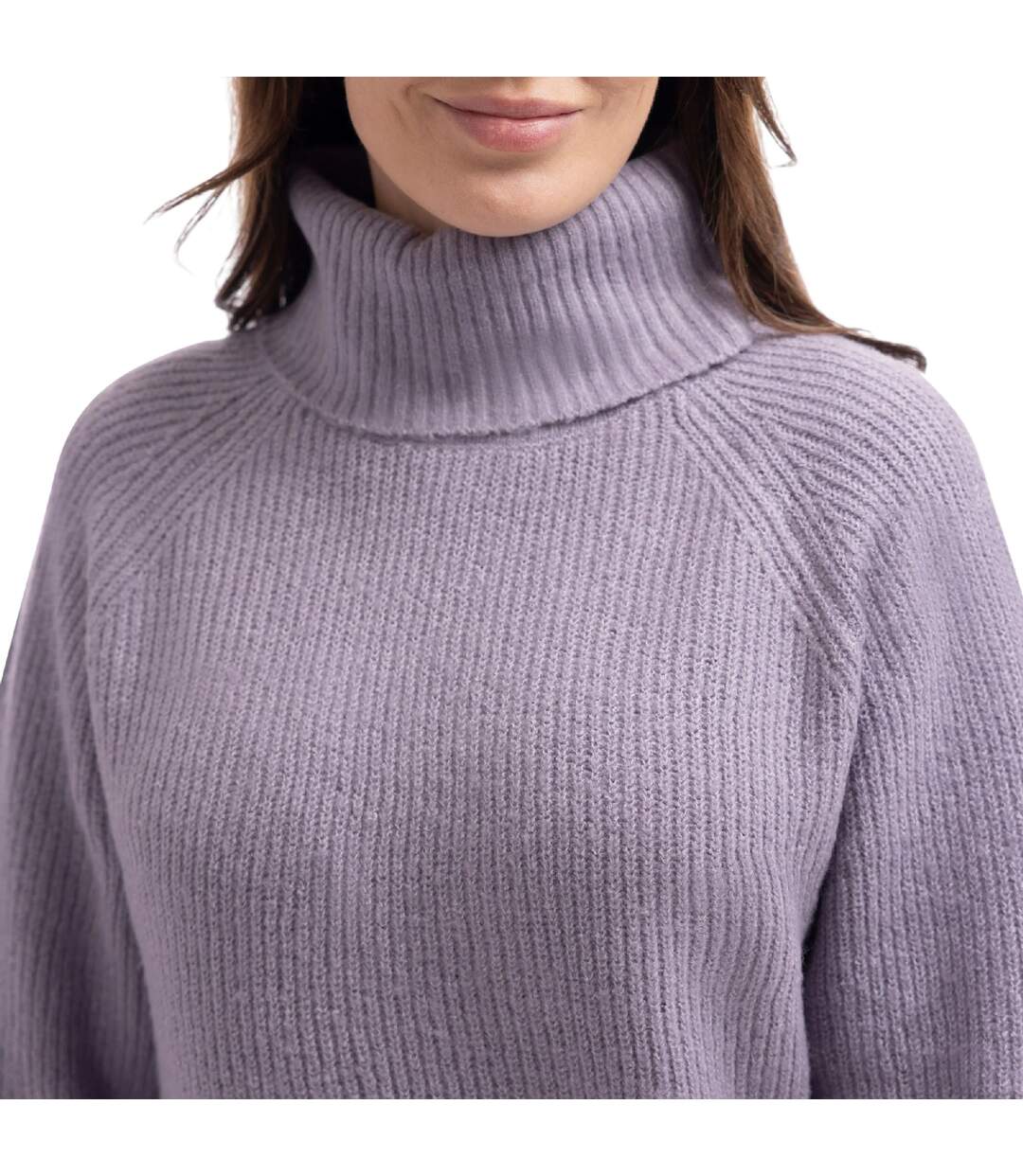 Robe Pull Unie Col Roulé Mattia Femme Gris Chiné Trespass-4