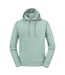 Sweat À Capuche Authentic Homme Eucalyptus Russell-1