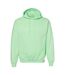 Sweat À Capuche Adulte Vert Menthe Gildan-1