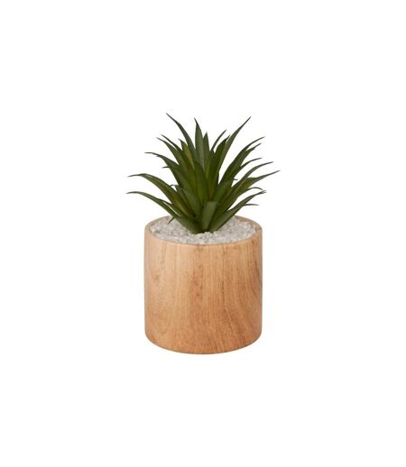Plante Artificielle en Pot Sao 17cm Marron