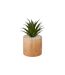 Plante Artificielle en Pot Sao 17cm Marron-1