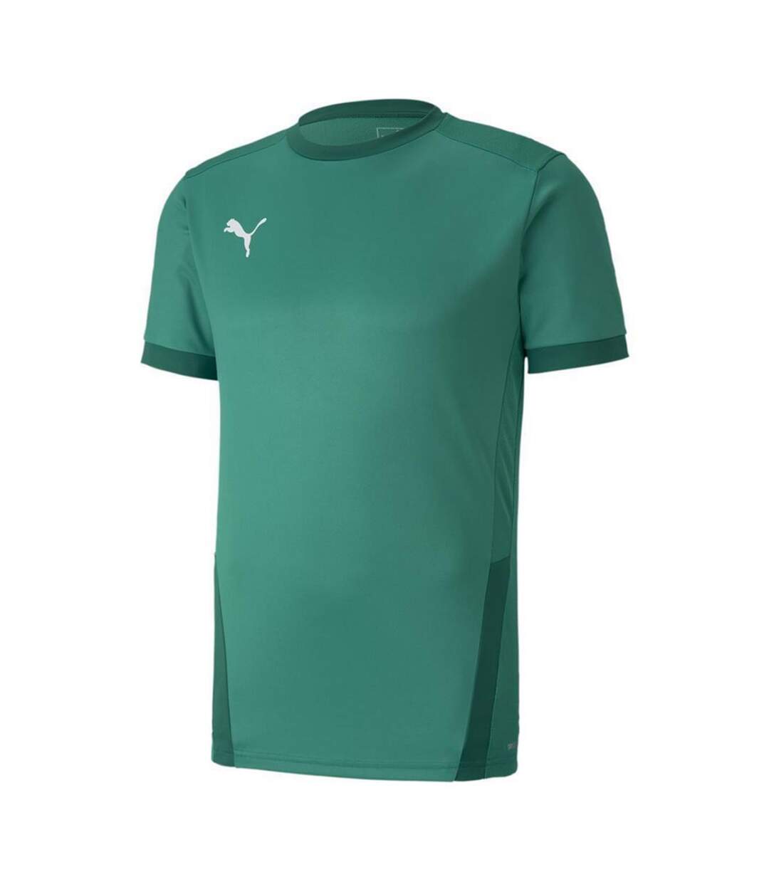 Maillot Teamgoal Homme Vert Puma-1