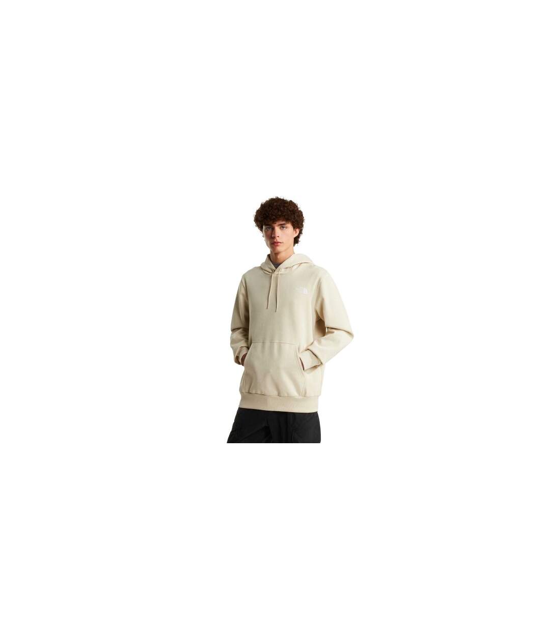 Sweat À Capuche Motif/style Dôme Homme Marron Beige Gris The North Face-1