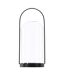 Lanterne Design en Verre Flora 25cm Noir-1