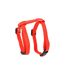 Harnais & Laisse pour Chat Kit 120cm Rouge