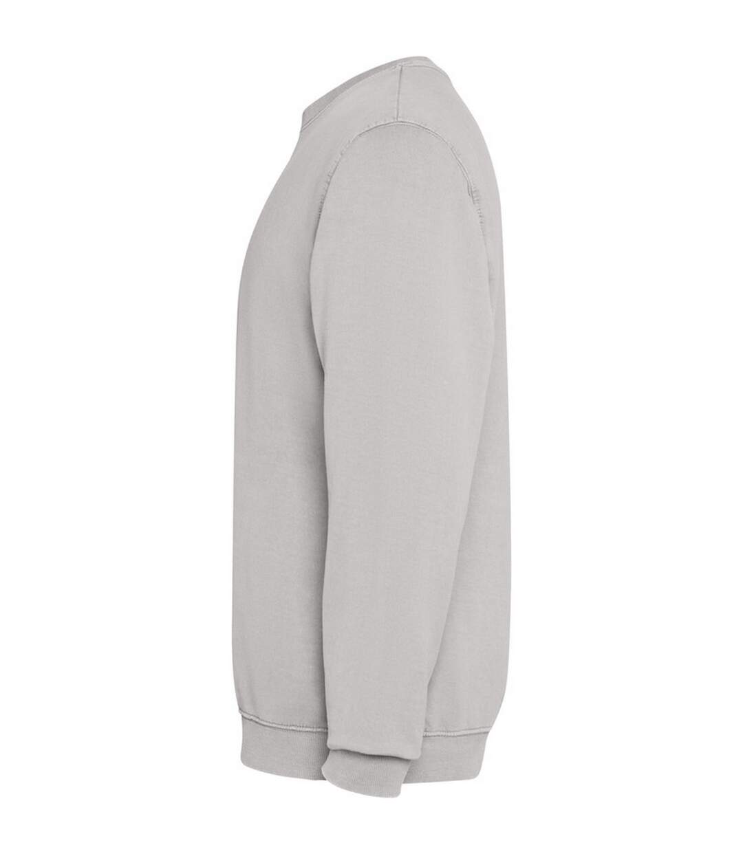 Sweat Jaya Adulte Gris Roly-3