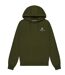 Sweat À Capuche Motif Petit Logo Active Homme Vert Aquascutum-2