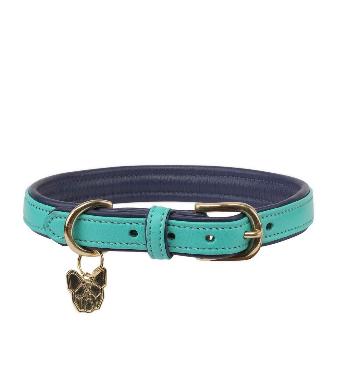 Leather padded dog collar m/l neckline: 47cm-52cm aqua Digby & Fox-1