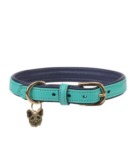 Leather padded dog collar m/l neckline: 47cm-52cm aqua Digby & Fox