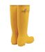 Bottes de pluie original femme jaune Hunter-2