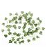 Guirlande Déco Lierre Artificiel 230cm Vert-1