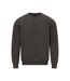 Gildan Unisex Adult Softstyle Fleece Midweight Sweatshirt (Charcoal)