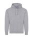 AWDis - Sweat à capuche - Homme (Gris) - UTRW3926