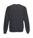 Fruit Of The Loom Mens Raglan Sleeve Belcoro® Sweatshirt (Light Graphite) - UTBC368