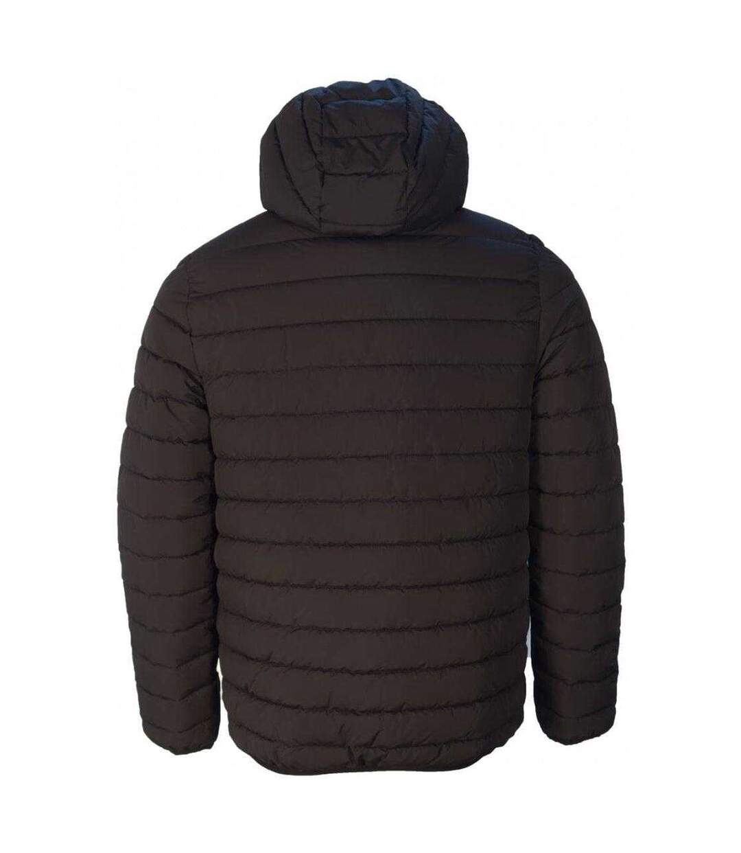 Veste Matelassée Active Adulte Noir Aquascutum-2