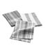 Lot de 3 Torchons Bayado 50x70cm Anthracite-1