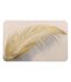 Tapis de Bain Ultra-Absorbant Angelica 50x80cm Naturel-1