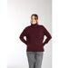 Pull Mina  | Gerard Pasquier Avec Col Roulé | Gerard Pasquier-3