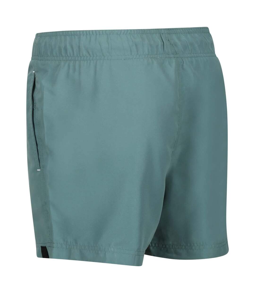 Short De Bain Mawson Homme Bleu Sarcelle Regatta-4