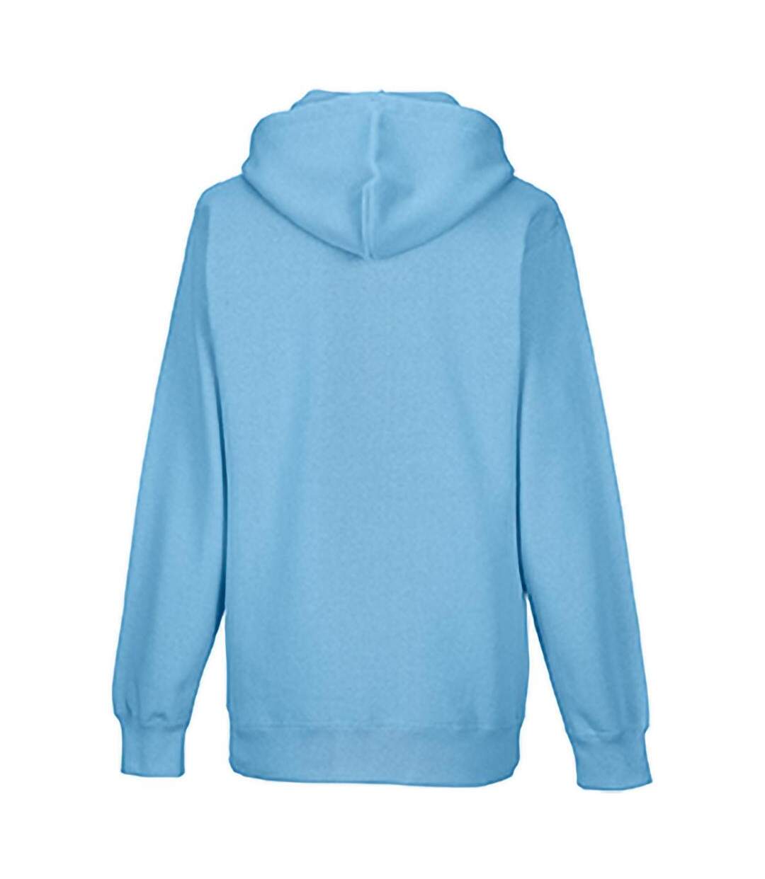 Sweatshirt À Capuche  Pour Homme Bleu Ciel Russell-3