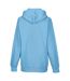 Sweatshirt À Capuche  Pour Homme Bleu Ciel Russell-3
