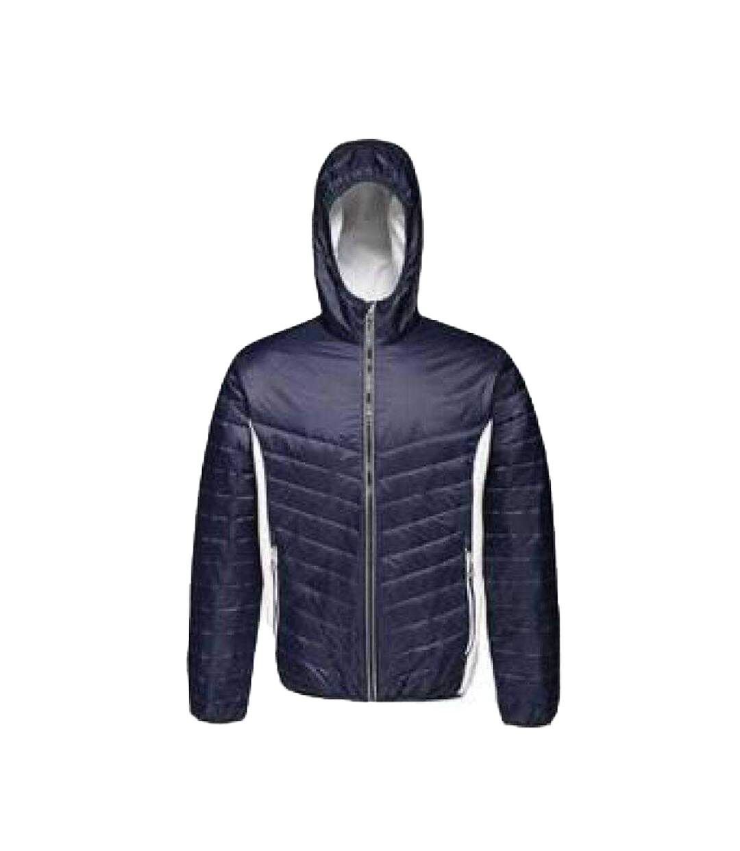 Doudoune Matelassée Lake Placid Homme Bleu Marine Foncé Regatta-1