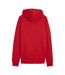 Sweat À Capuche Team Goal Homme Rouge Puma-2