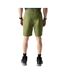 Short Torrek Lite Homme Vert Néphrite Dare 2B-3