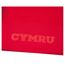 Haut De Rugby Adulte Rouge Wales RU-4